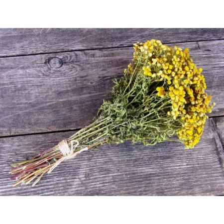 пучок пижмы "mr.venikoff"